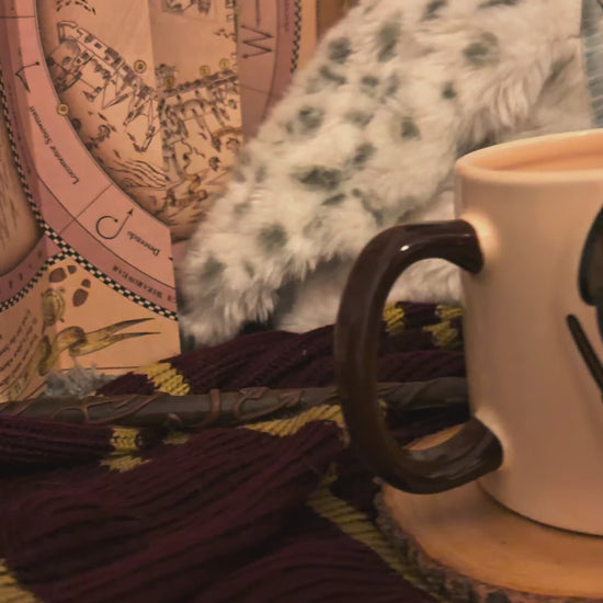Taza Harry Potter en 3D - Tazas Harry Potter 