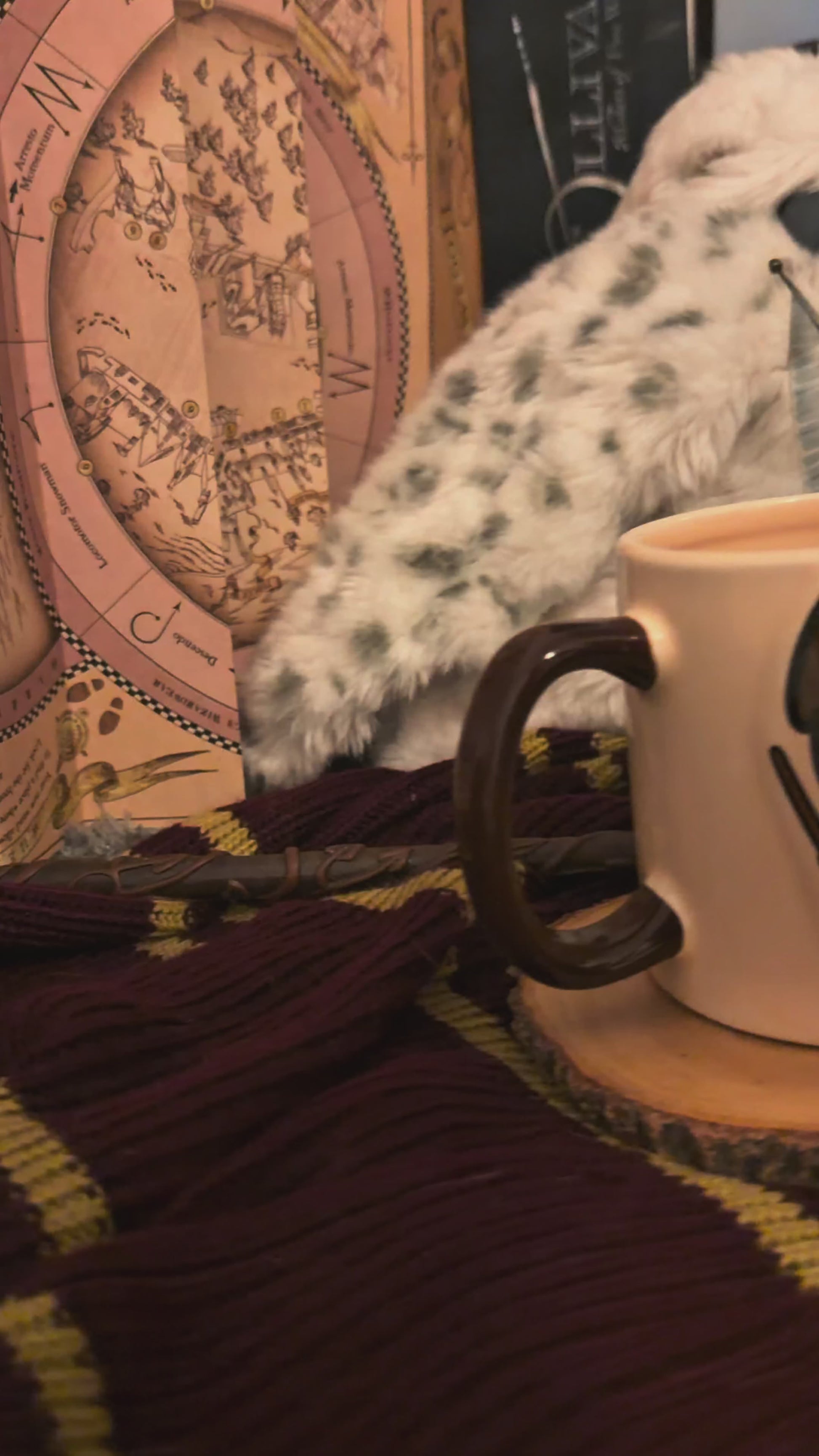 Taza Harry Potter en 3D - Tazas Harry Potter 