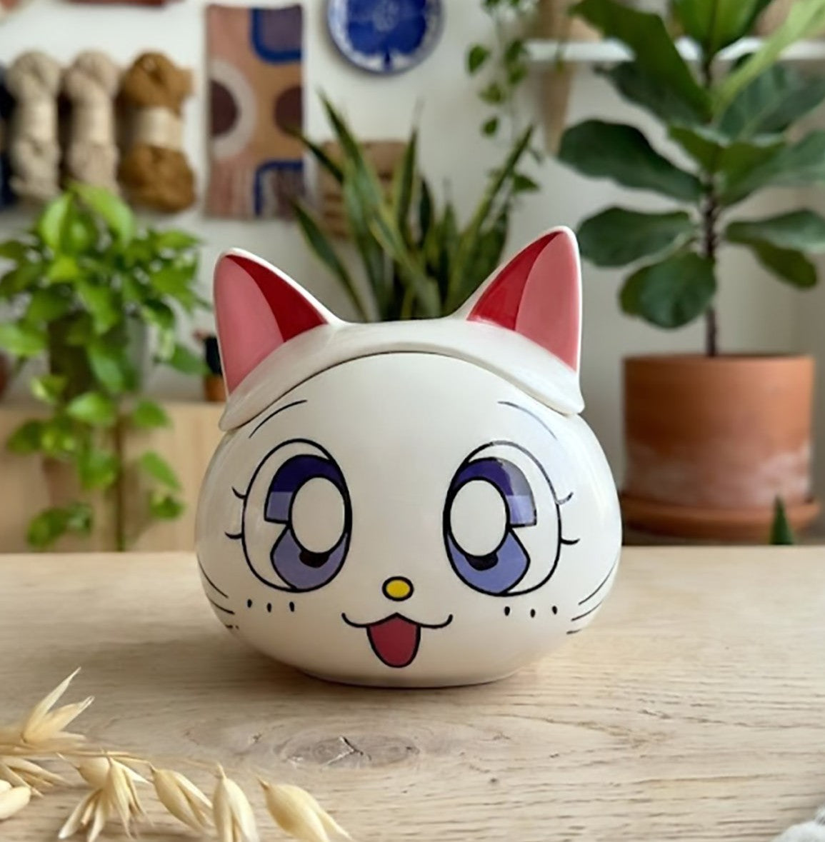 Gatos de Sailor Moon